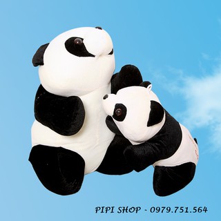 GẤU BÔNG GẤU TRÚC PANDA