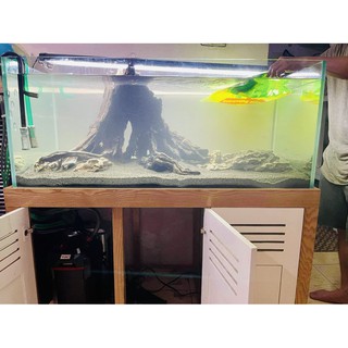 PHÂN NỀN EVER GREEN (BAO 5KG)