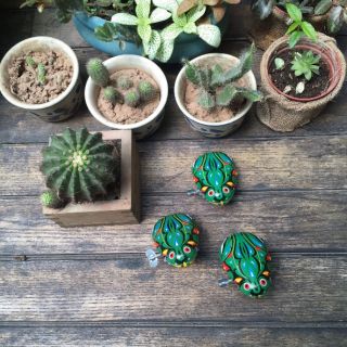 Cóc vặn dây cót
