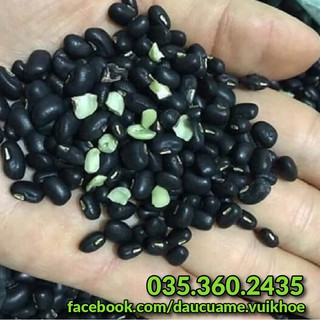 [ 1kg ] Đậu đen xanh lòng, đậu quê lựa sạch