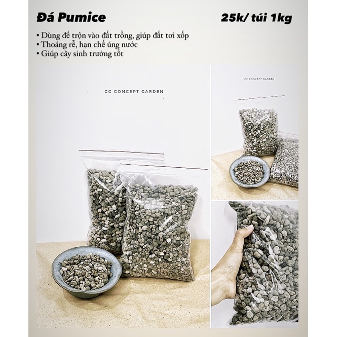 Đá bọt Pumice | Giá thể trồng cây