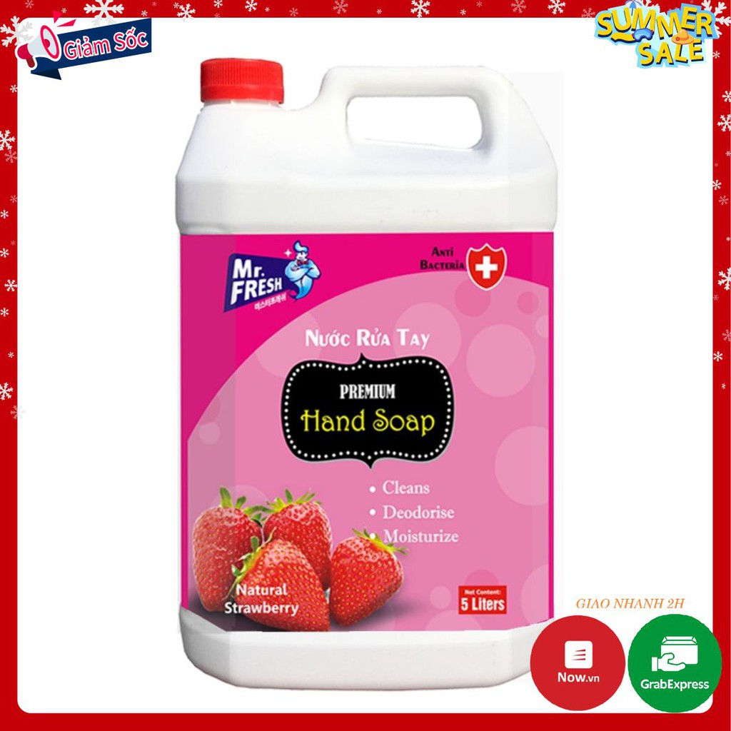 Nước rửa tay thảo mộc diệt khuẩn Mr.Fresh 5L | BigBuy360 - bigbuy360.vn