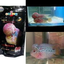 Thức Ăn Cá La Hán Lên Đầu Tăng Màu Sáng Châu, OKIKO Cám Viên Cho Cá La Hán. Hàng Chính Hãng