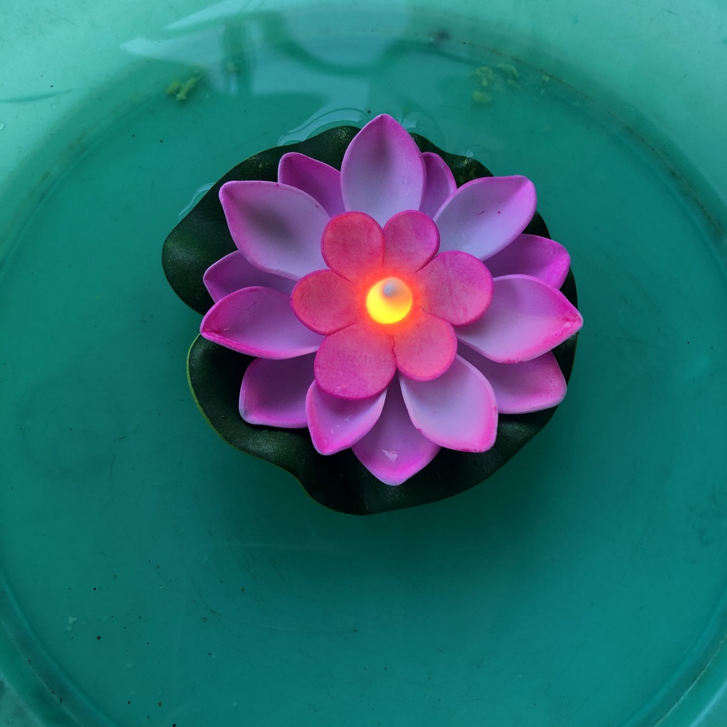 Đèn hoa đăng hình bông hoa sen chạy pin,hoa trang trí lễ Vu Lan, Rằm tháng 7 thả đèn trung thu