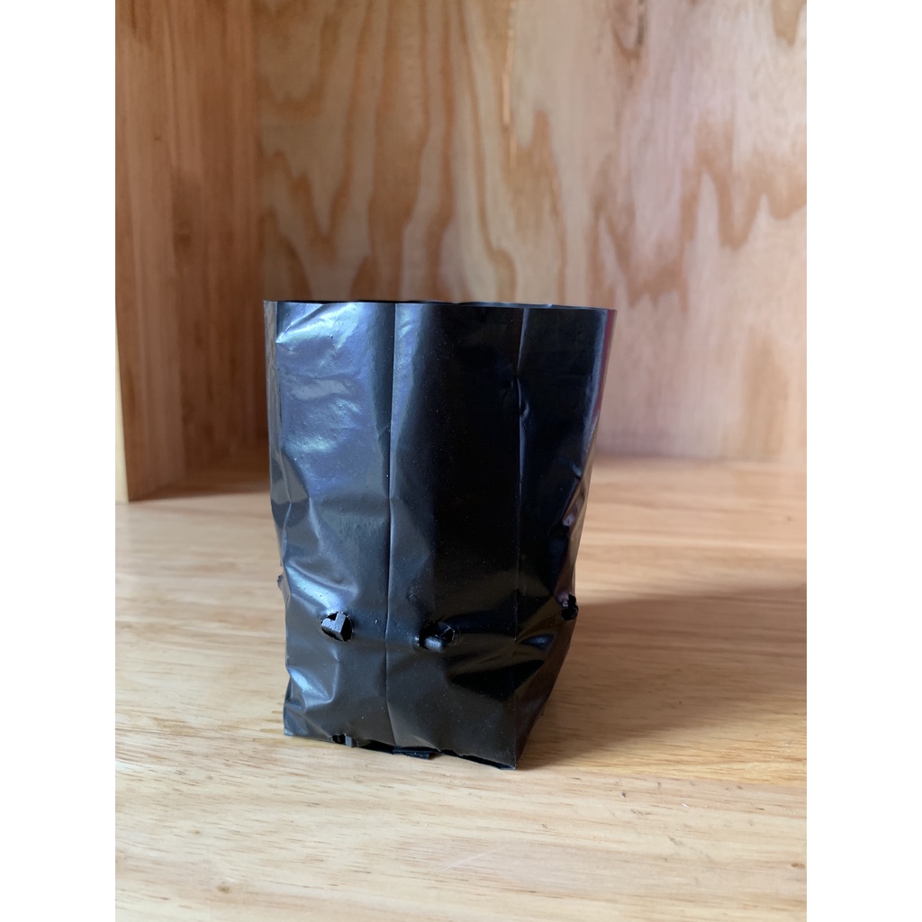 500G TÚI ƯƠM CÂY GIỐNG MÃ 6*14 (BẠT PHỦ ĐẤT CHỐNG CỎ, KEO LIỀN SẸO CÂY, KÍCH RỄ MẦM ...)