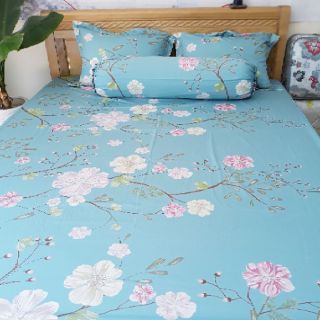 Bộ ga gối cotton hàn quốc