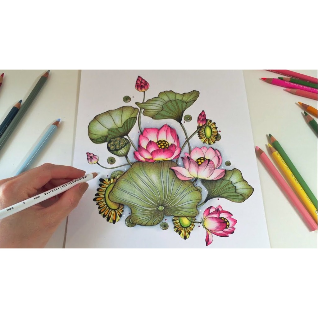 Hộp 12 bút chì màu vẽ thực vật Prismacolor Premier Botanical Garden Colored Pencil