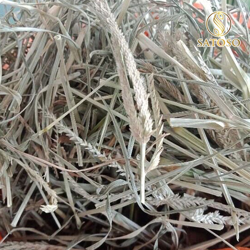 Cỏ mần trầu khô thơm sạch giúp mượt tóc, mát gan, lợi tiểu SATOSO 1kg SA73