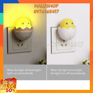 Đèn Ngủ Quả Trứng Tự Động Sáng Khi Trời Tối - Bh 3 tháng