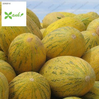 Hạt Giống Dưa Lưới Lõi Vàng Oval  (10 hạt)