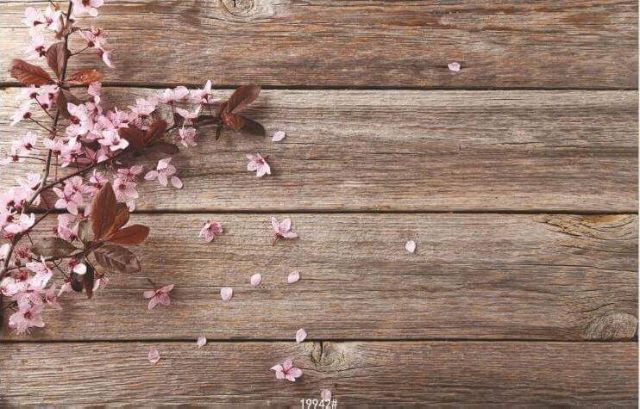 Thảm lông trắng chụp ảnh sản phẩm+ Phông nền