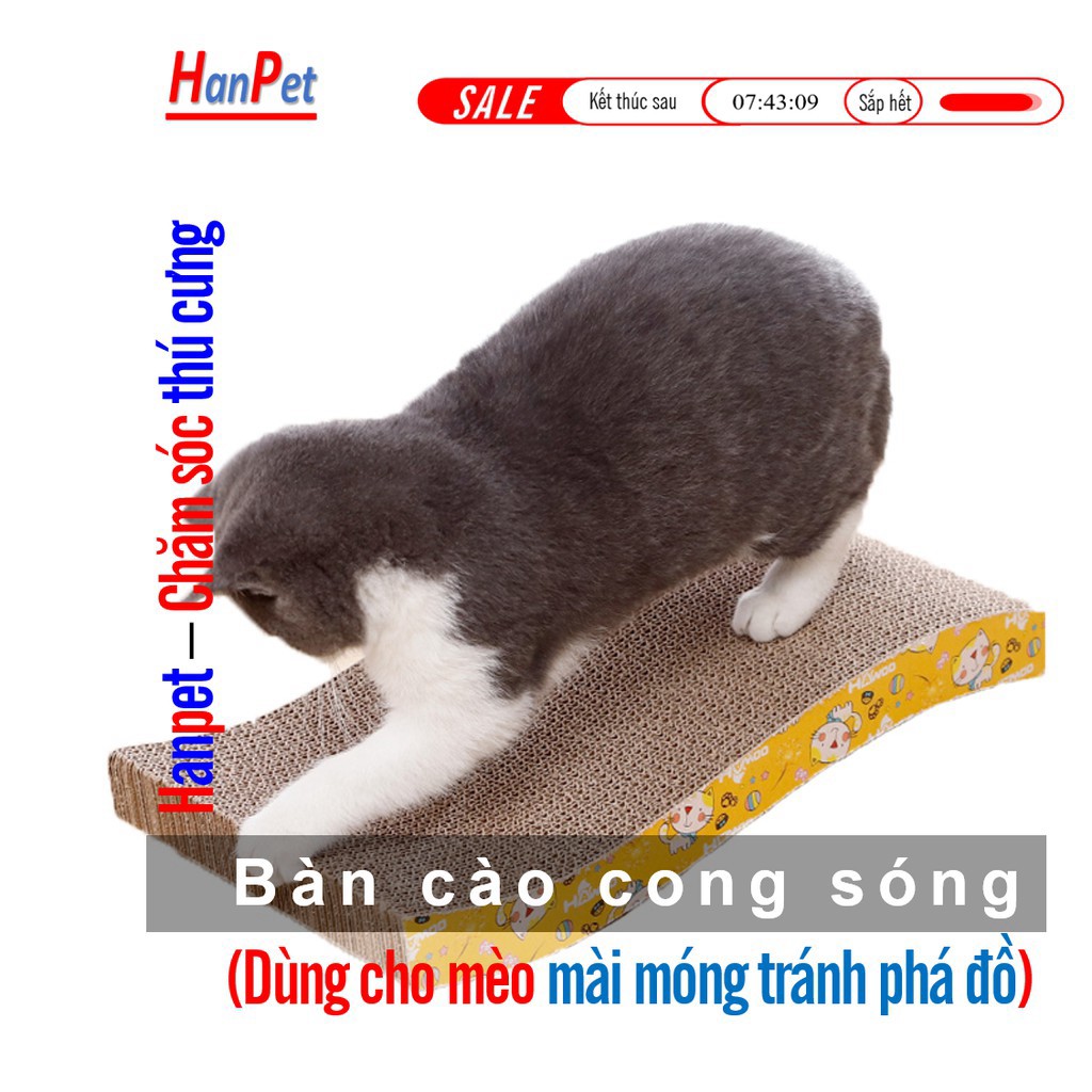 Cào móng mèo bằng giấy (có 5 loại) hanpet - bàn cào móng cho mèo kiêm mài móng