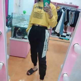Quần thể thao adidas