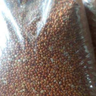 Hạt kê đỏ 500g