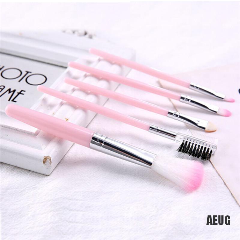 [Hàng mới về] Bộ 5 cọ trang điểm chuyên nghiệp cho nữ