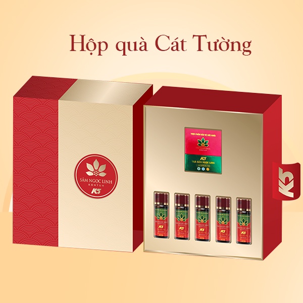 [Quà Tết] Hộp Quà Cát Tường - Sâm Ngọc Linh Kon Tum K5 Chính Hãng