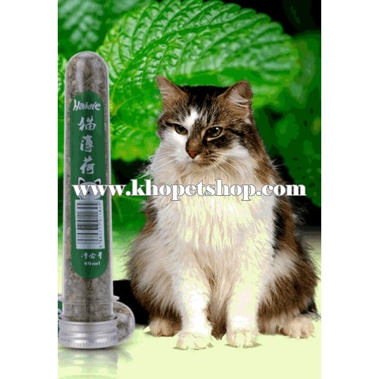 Cỏ bạc hà cho mèo - Catnip ống (40ml)