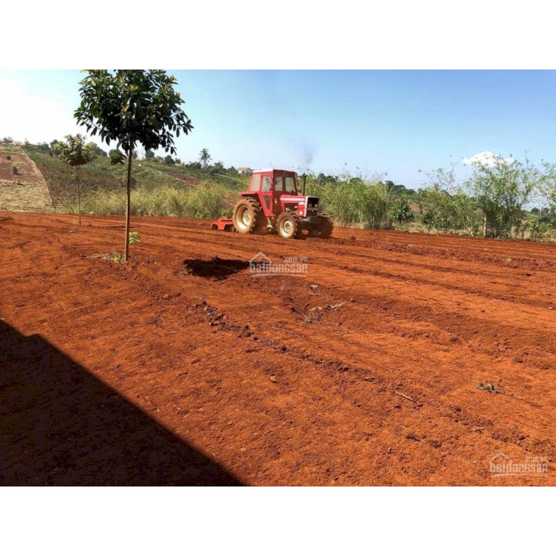 Đất Đỏ BAZAN Chính Gốc TÂY NGUYÊN
