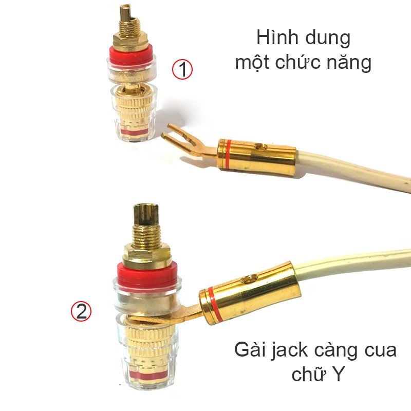 Cọc loa 3 tác dụng Bắp chuối - Càng cua - Mỏ chim cho Loa/Amplifier mạ đồng OCC chất lượng tốt (1 chiếc)