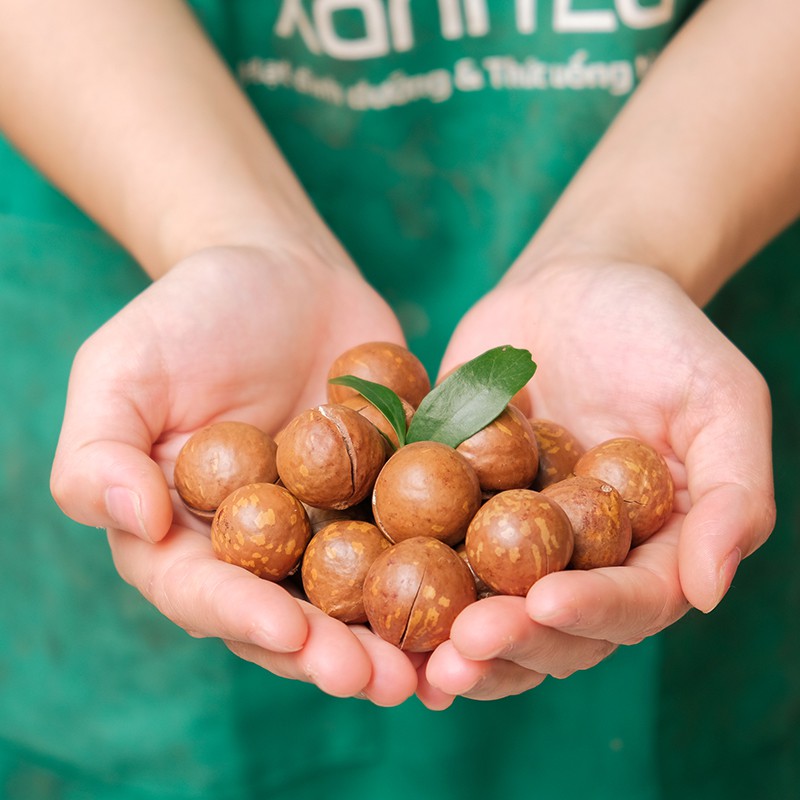 Hạt Macca SẠCH Đăk Lăk sấy nứt vỏ LOẠI 1 VỤ MỚI hàng công ty đạt VSATTP Xanh Lá