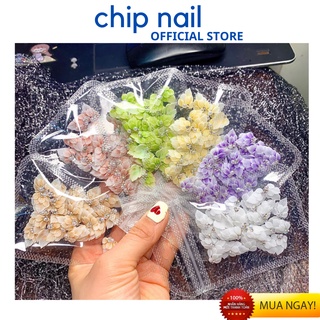 Hoa bột nail, hoa góc tay gắn móng