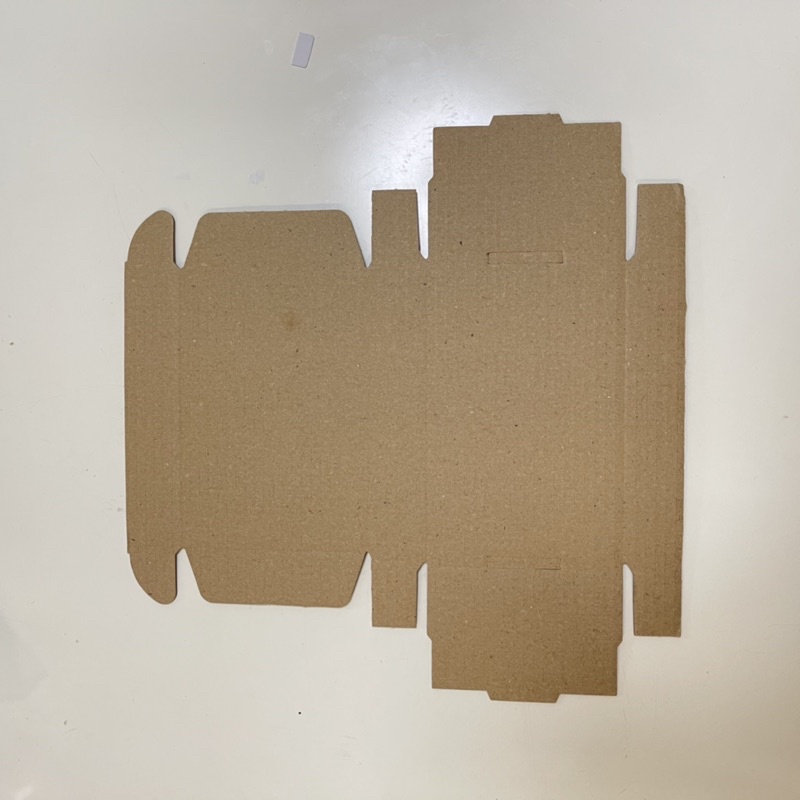 [Cois N] Hộp carton Kraft Hoạt Hình Coisini Độc Quyền