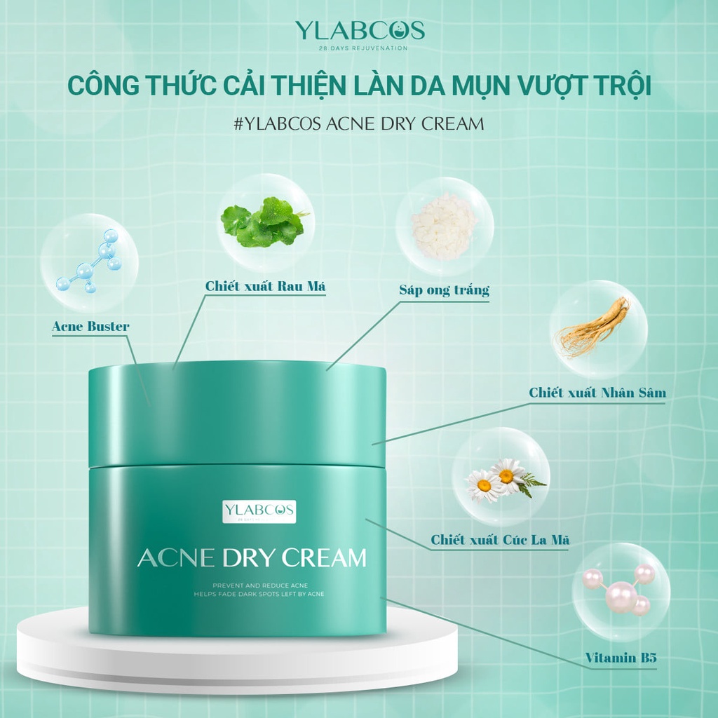 Kem Gom Cồi Mụn Ylabcos Acne Dry Cream Drlacir,Hộp 25gram,Hỗ Trợ Ngừa Mụn,Làm mờ vết thâm,giảm bóng dầu trên da