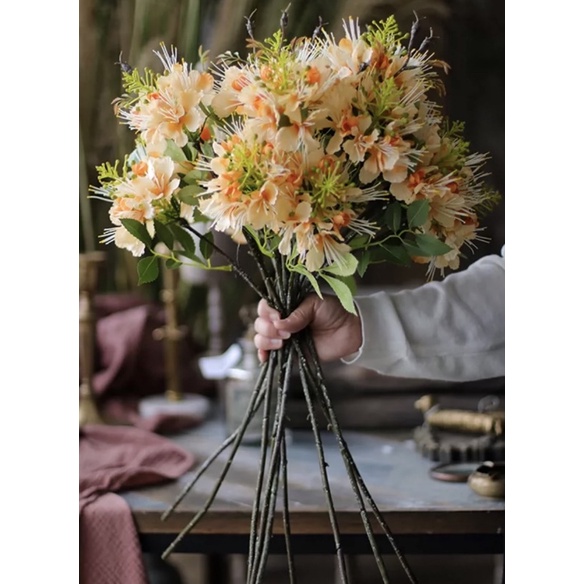 Hoa giả - Hoa phượng hoàng