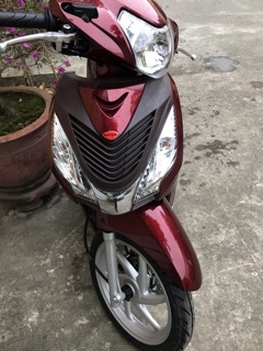 Mặt nạ vision kiểu sh ý