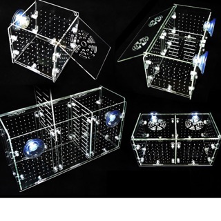 Lồng tép dưỡng cá và tép mica siêu trong - lồng tép thuỷ sinh