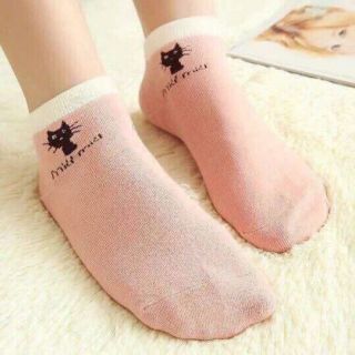 Combo 10 đôi tất mèo cổ ngắn