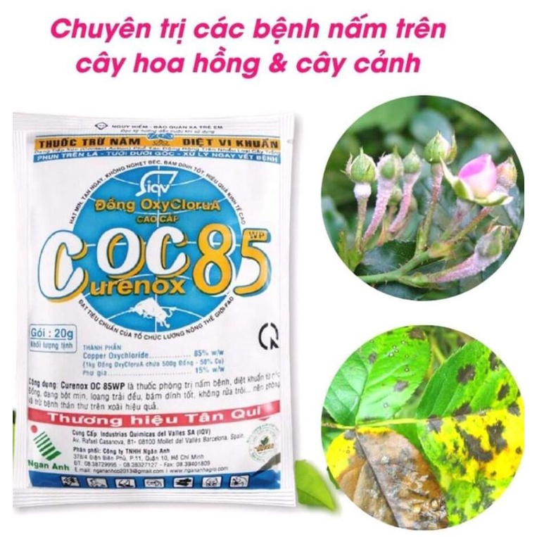 COC 85  Gói 20g Phòng Trừ Nấm Bệnh Cho Hoa Hồng, Bệnh Thán Thư, Sương Mai, Diệt Vi Khuẩn, Ít Độc Hại