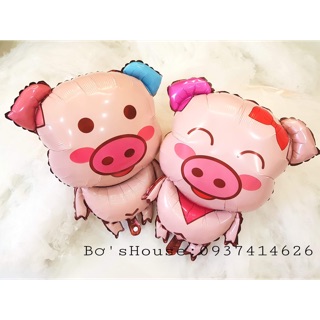 Bóng hình chú heo con