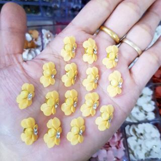 Hoa bột, hoa cúc( gạt ảnh chọn màu)