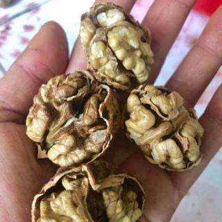 Hạt óc chó nếp