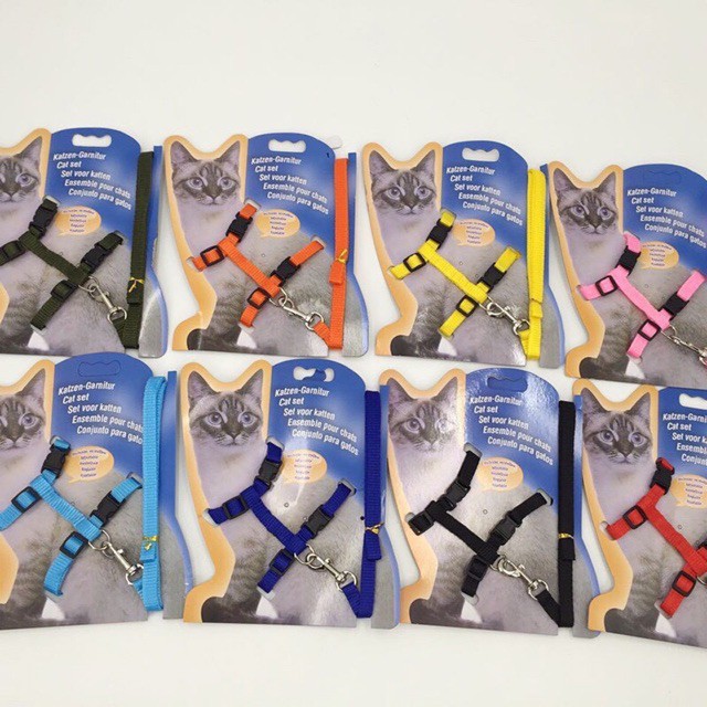 DÂY DẮT MÈO Đi DẠO