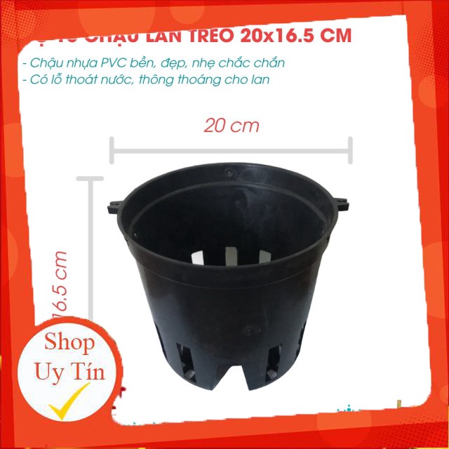 Bán Sỉ, lẻ (siêu rẻ) Bộ 10 Chậu Nhựa Trồng Lan Đa Kích Thước 12,14,16,18,20cm- Bền, Dẻo, Có Lỗ Thoát Nước, Có Thể Cài Mó