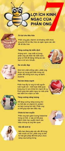Combo ngũ cốc lợi sữa lạc lạc