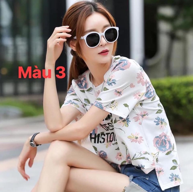 Áo phông xuất hàn