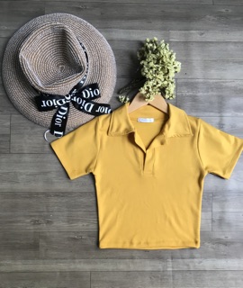 Áo croptop trụ POLO chất thun TC (a4)