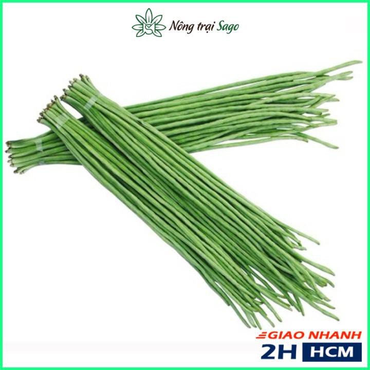 Hạt giống Đậu Đũa Ngọt Dễ Trồng, Sớm Thu Hoạch, Trái Dài 50-55cm (gói 20 gr) - Nông Trại Sago