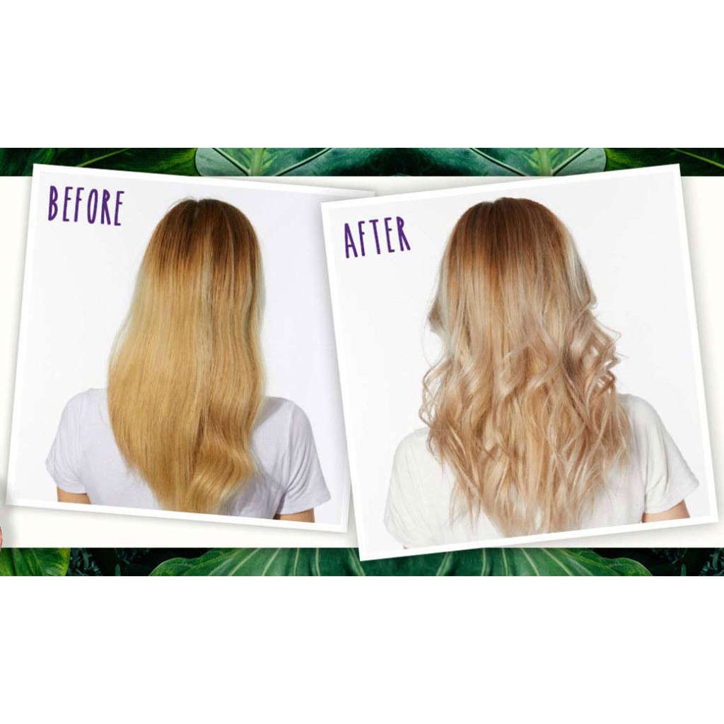 Dầu gội tím khử vàng hiệu quả của nhà Buddyhairs, Buddy.hairs, Buddyhair