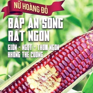 BẮP NỮ HOÀNG ( tốt hơn cả nhân sâm)