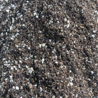 Đất trồng sen đá viên đất nung đá perlite đá nham thạch