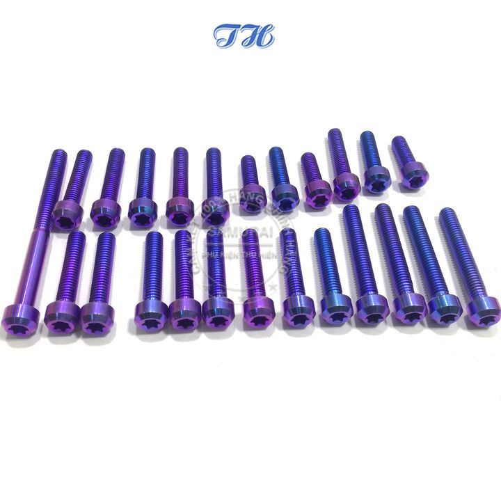 Full Bộ Ốc Gắn Lốc Máy Gr5 Cho Xe Winner Màu Titan, Lục Bảo ( 24 con )