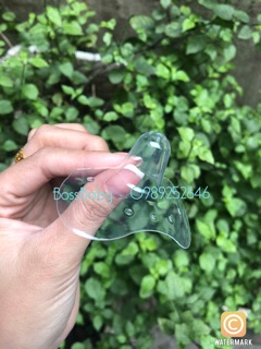 Trợ ty Dolphin