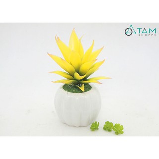 Chậu sen đá giả để bàn số 86 TAN