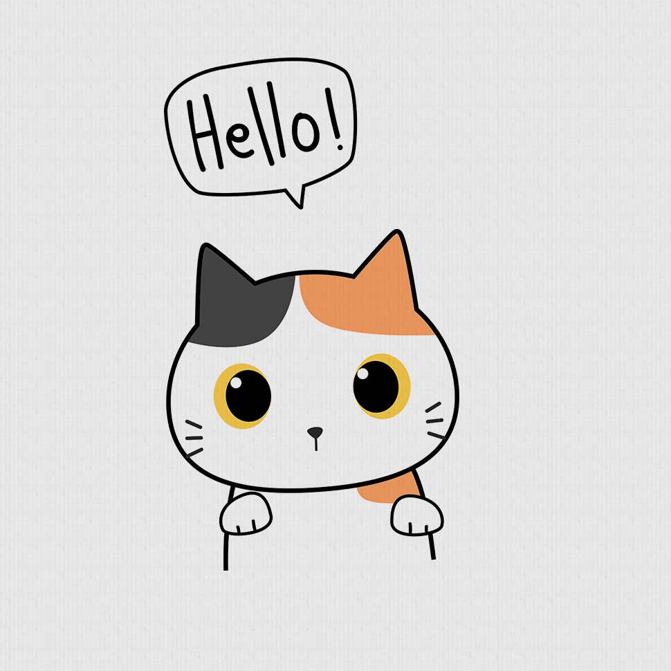 Áo Thun Tay Lỡ MYO Hello Kitty