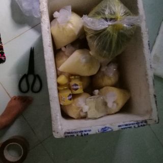500g sữa ong chúa tươi