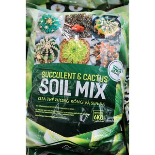 Đất Soil Mix trồng sen đá, xương rồng